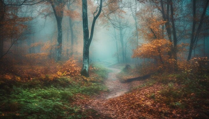 Mountain Mist